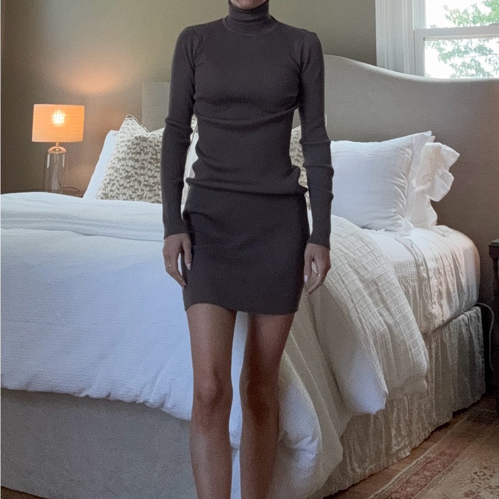 Brown turtleneck basic dress